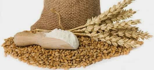  Banyak yang orang tahu bahwasannya gandum memiliki kandungan karbohidrat yang sangat ting BERBAGAI MANFAAT BIJI GANDUM
